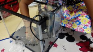 IMG_20160806_154903