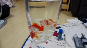 IMG_20160806_162010