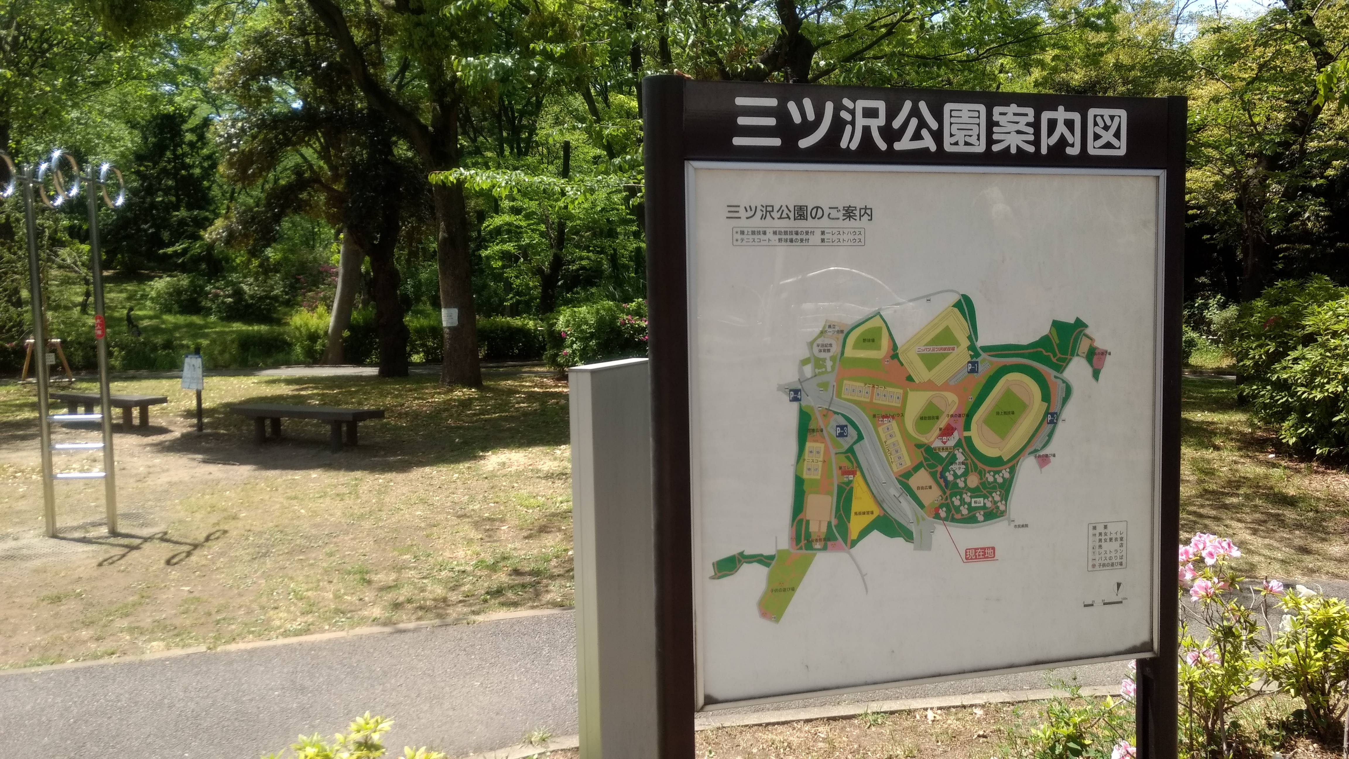 心身共にリフレッシュしたいヒトにオススメしたい横浜市の三ツ沢公園レビュー しがないサラリーマンがひっそりと経済的自由を目論むブログ