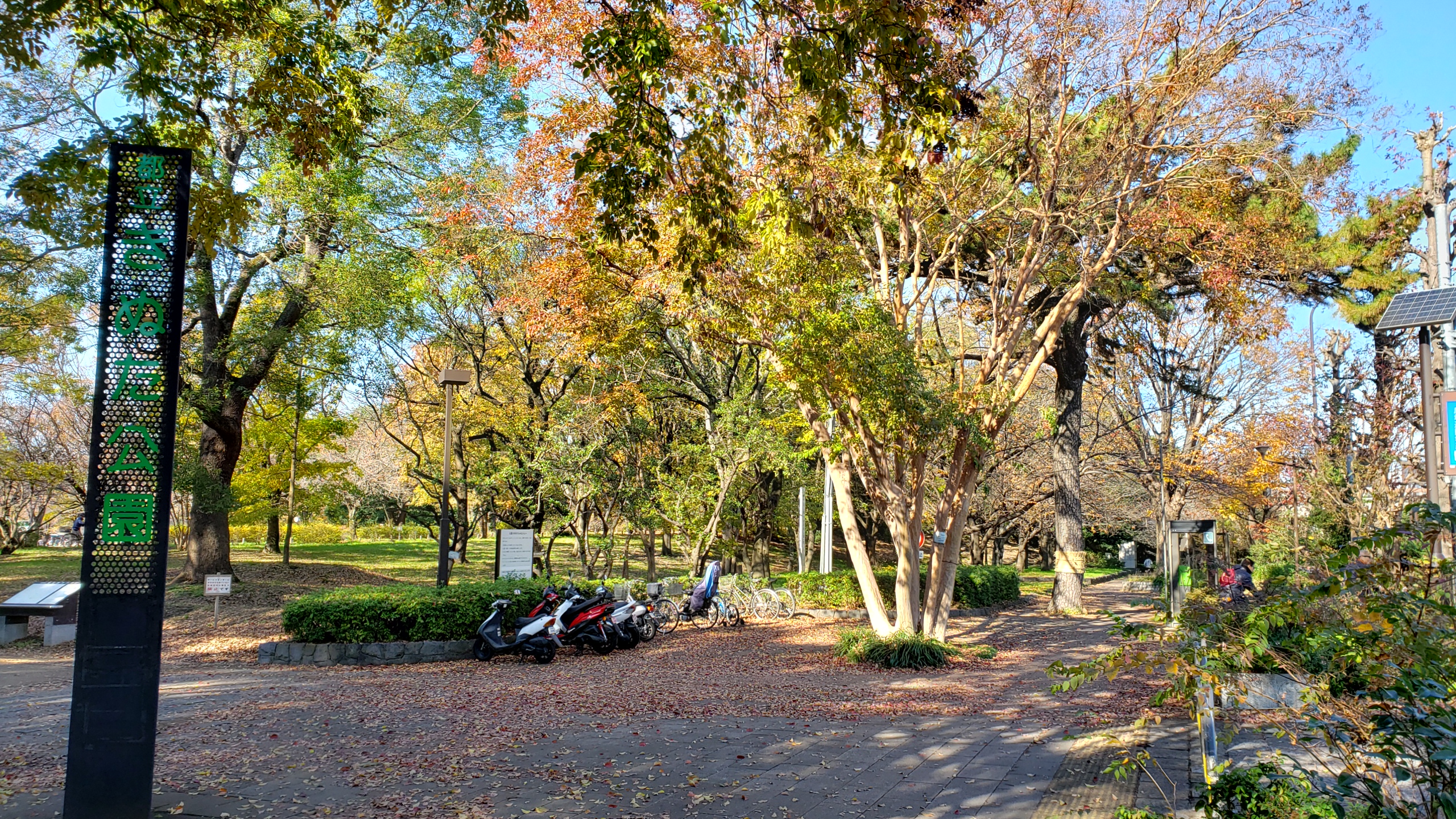 ピクニックやドッグランでおすすめ 世田谷区砧公園の紅葉を見てきました しがないサラリーマンがひっそりと経済的自由をもくろむブログ