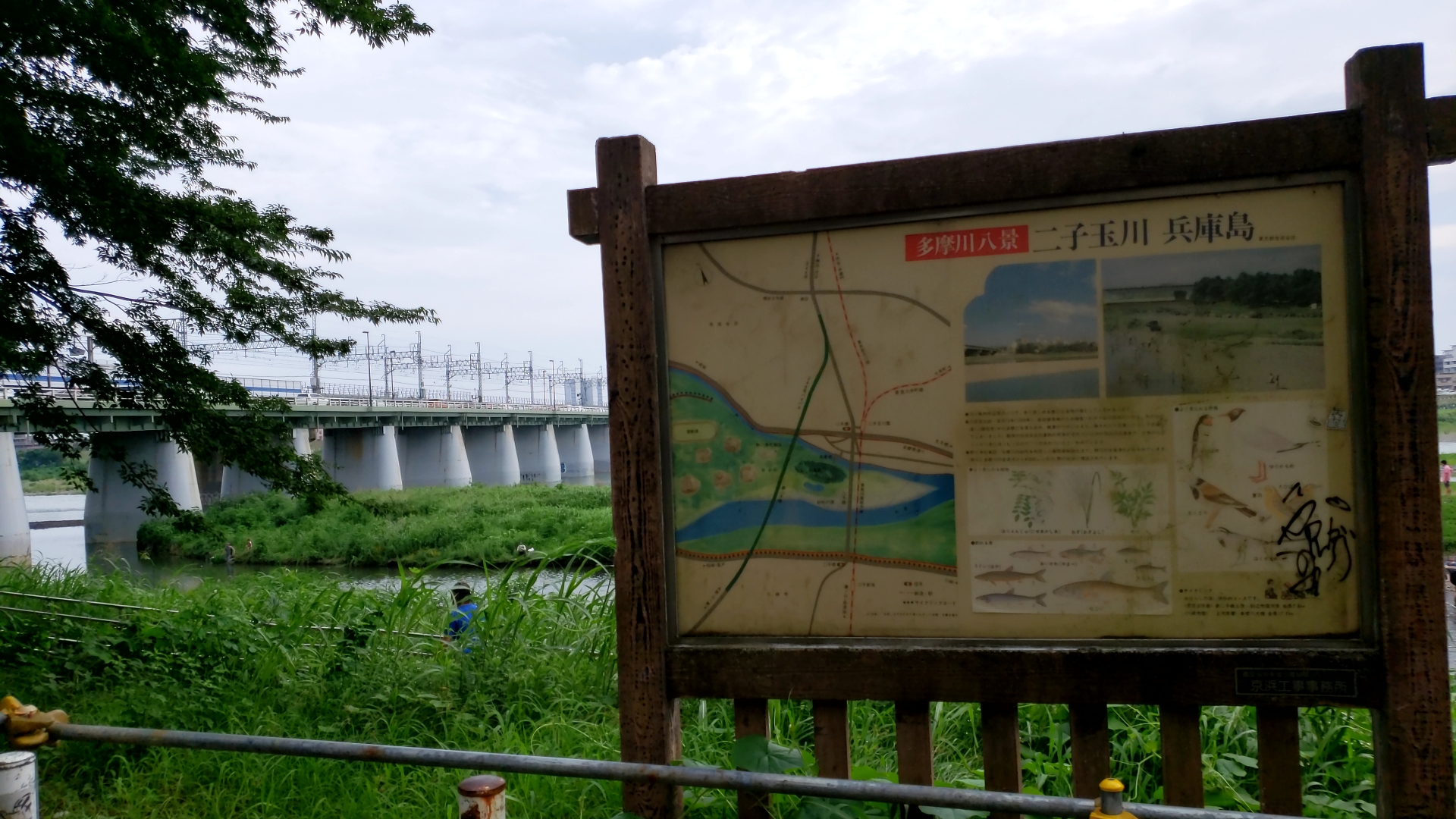 都内で無料で子どもと川遊びができる世田谷区の兵庫島公園は超おすすめ しがないサラリーマンがひっそりと経済的自由を目論むブログ